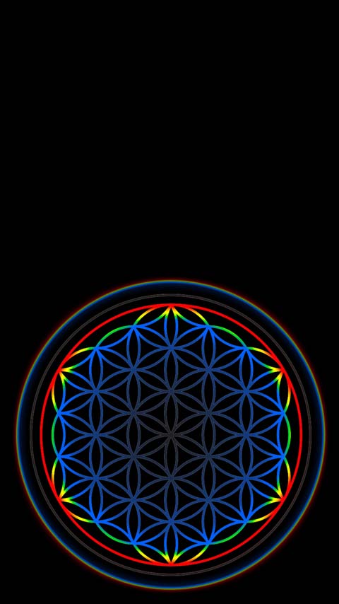 Free Phone Backgrounds Wallpapers-480x854 px FWVGA