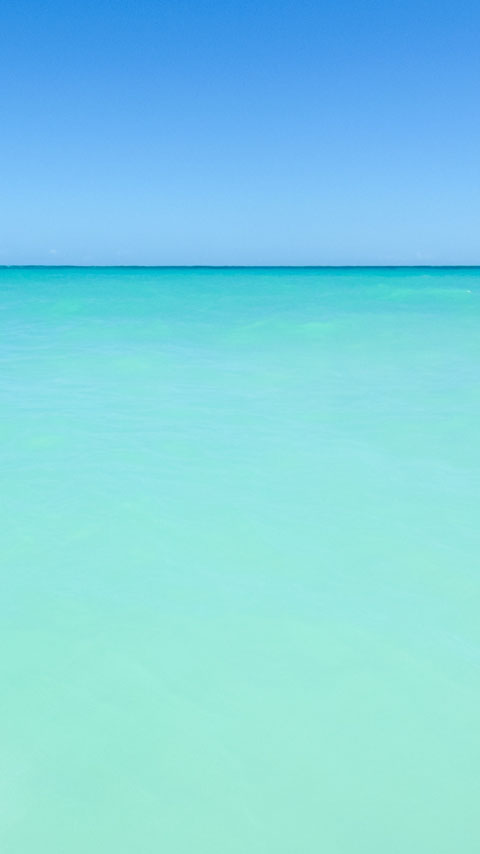 Free Phone Backgrounds Wallpapers-480x854 px FWVGA