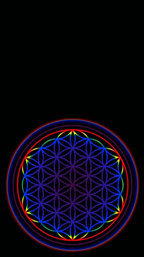 Free Phone Backgrounds Wallpapers-480x854 px FWVGA